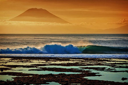 surf