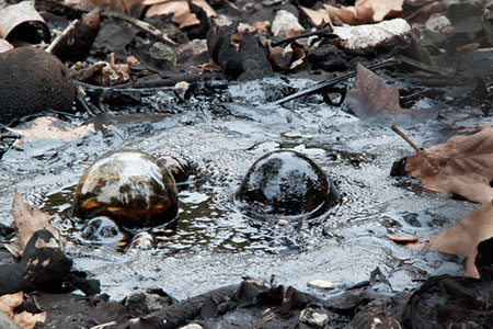 tar