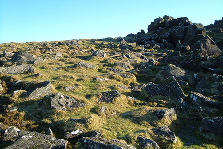 terrain