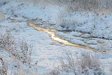 thaw