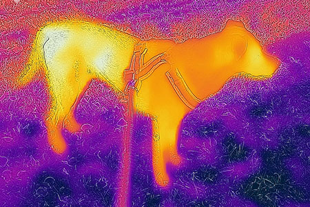 thermal