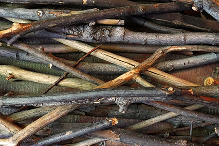 twig
