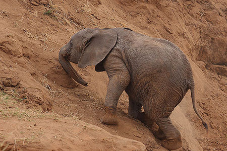 uphill
