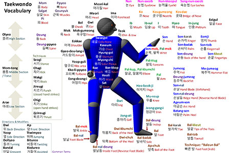 vocabulary