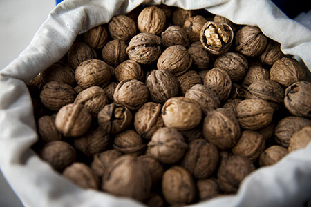 walnut
