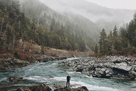 wilderness