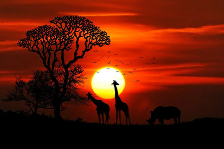 wildlife