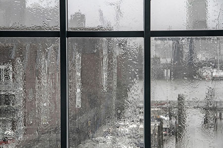 windowpane