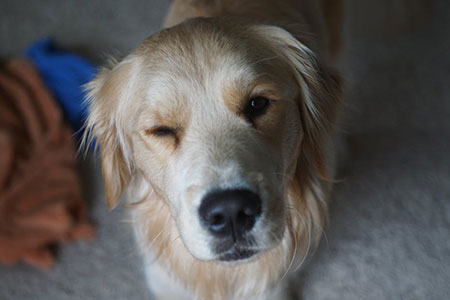wink